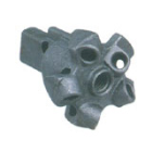C19